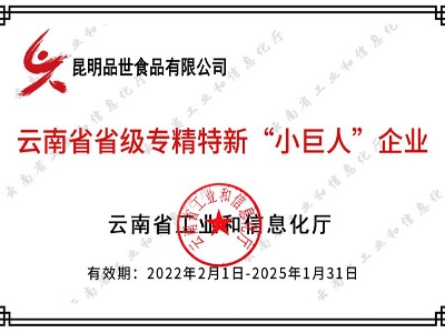 云南省专精特新“小巨人”企业